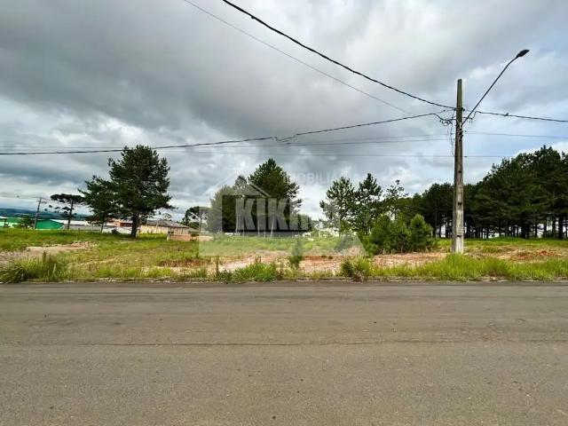 Terreno comercial para Venda em Ponta Grossa/PR Jardim Carvalho