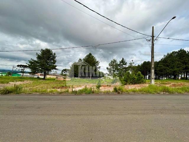Terreno comercial para Venda em Ponta Grossa/PR Jardim Carvalho