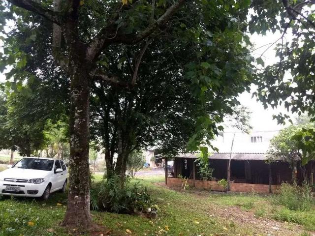 Terreno comercial para Venda em Portão/RS Macaco Branco