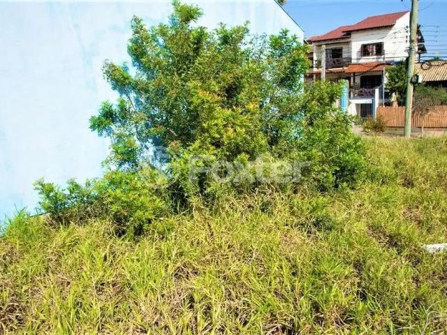 Terreno comercial para Venda em Porto Alegre/RS Jardim Leopoldina