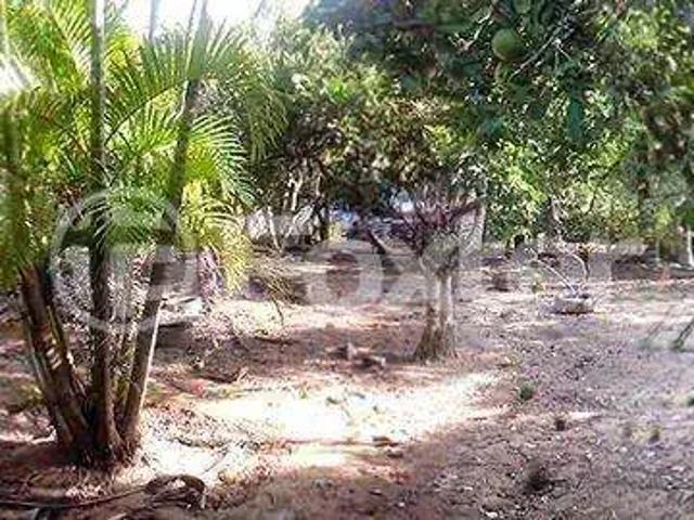 Terreno comercial para Venda em Porto Alegre/RS Restinga
