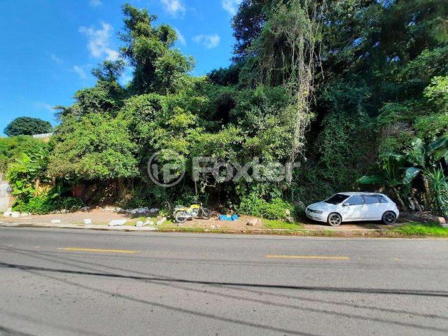 Terreno comercial para Venda em Porto Alegre/RS Vila Assunção