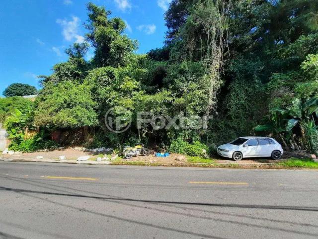 Terreno comercial para Venda em Porto Alegre/RS Vila Assunção