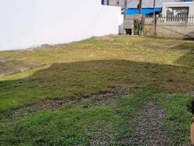 Terreno comercial para Venda em Porto Belo/SC Balneário Perequê