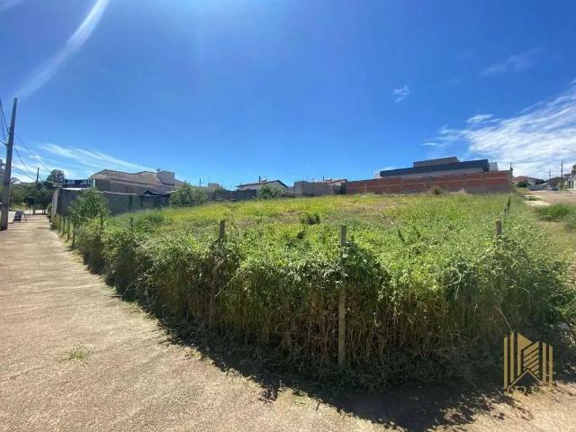 Terreno comercial para Venda em Pouso Alegre/MG Buritis