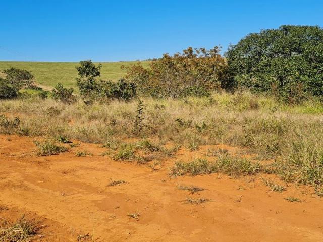 Terreno comercial para Venda em Pouso Alegre/MG Jardim São Fernando