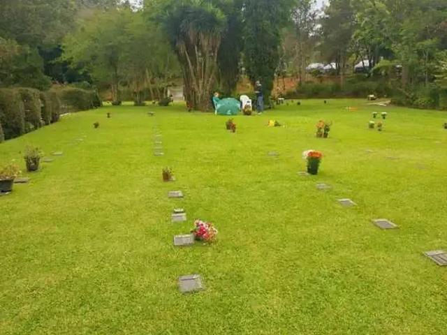Terreno comercial para Venda em Quatro Barras/PR Centro 1 Quartos