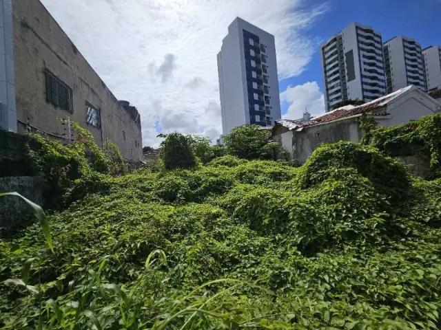 Terreno comercial para Venda em Recife/PE Prado
