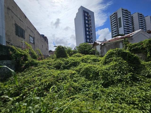Terreno comercial para Venda em Recife/PE Prado