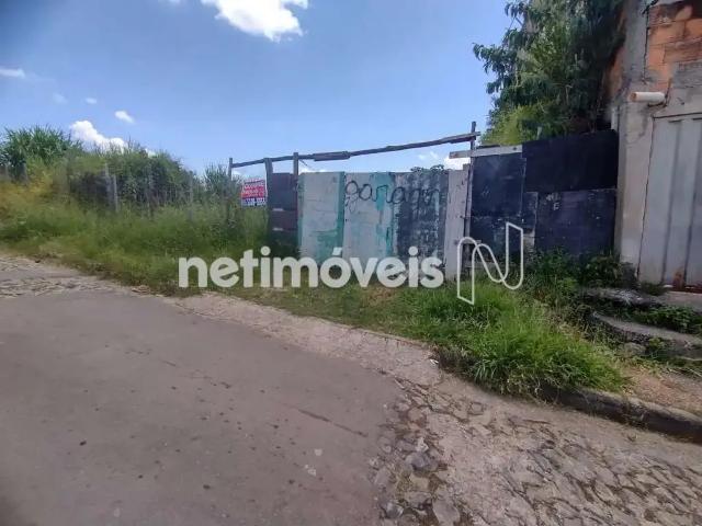 Terreno comercial para Venda em Ribeirão das Neves/MG Menezes Justinópolis