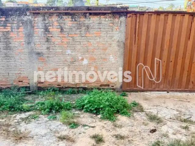 Terreno comercial para Venda em Ribeirão das Neves/MG Florença 3 Quartos