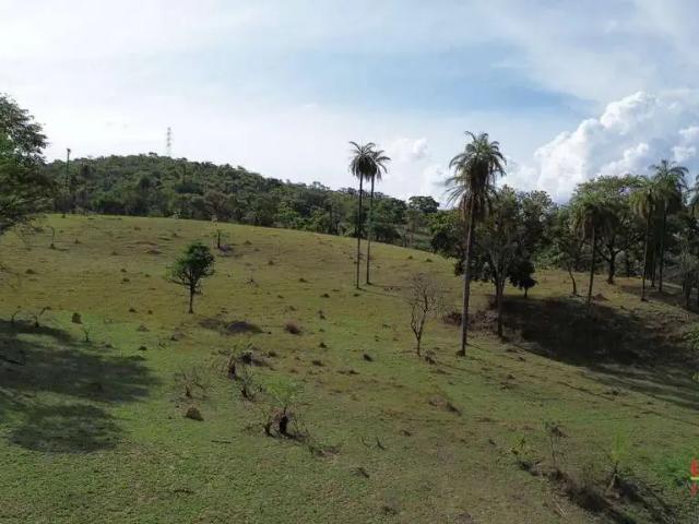Terreno comercial para Venda em Ribeirão das Neves/MG Veneza