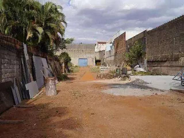 Terreno comercial para Venda em Ribeirão Preto/SP Ipiranga