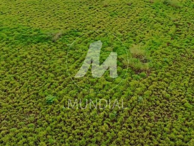 Terreno comercial para Venda em Ribeirão Preto/SP Jardim Anhangüera