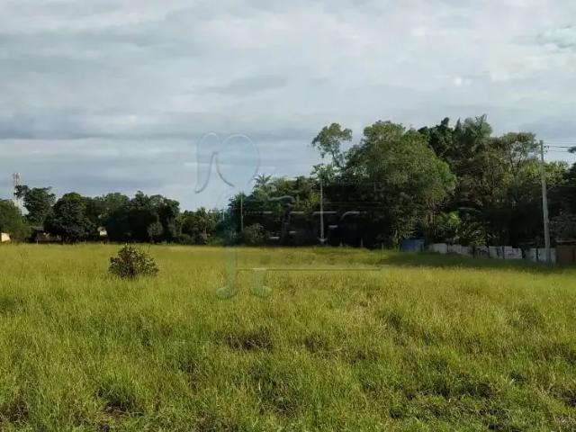 Terreno comercial para Venda em Ribeirão Preto/SP Nova Aliança