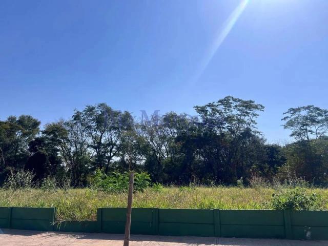 Terreno comercial para Venda em Ribeirão Preto/SP Ribeirânia