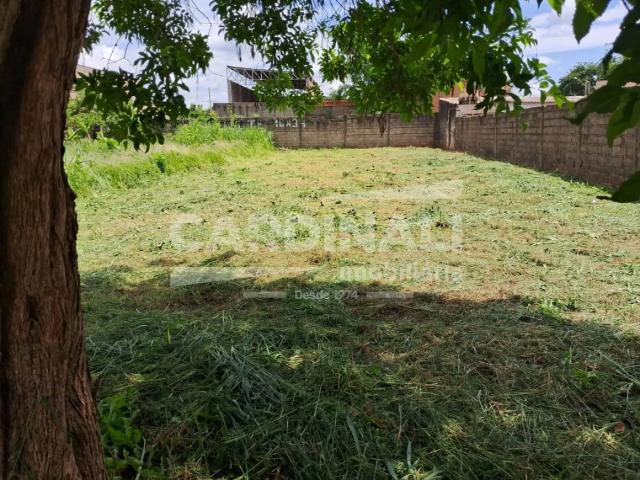 Terreno comercial para Venda em Ribeirão Preto/SP Vila Brasil