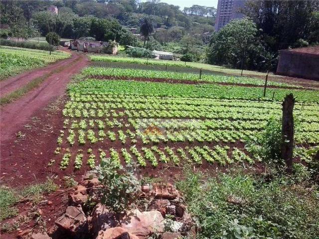 Terreno comercial para Venda em Ribeirão Preto/SP Vila Monte Alegre