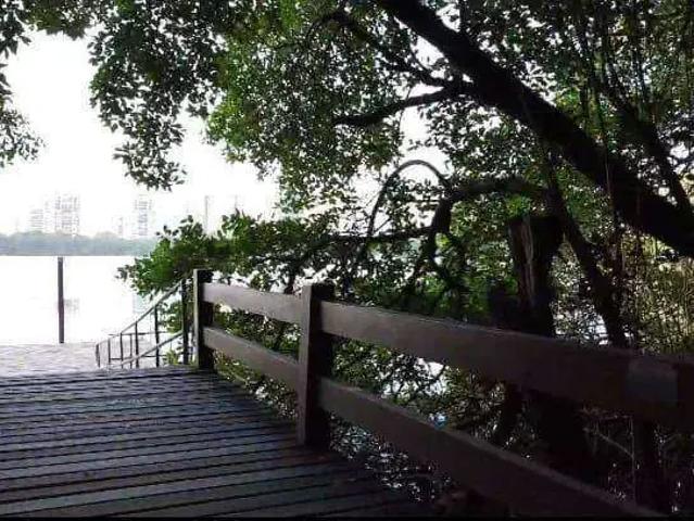 Terreno comercial para Venda em Rio de Janeiro/RJ Barra da Tijuca