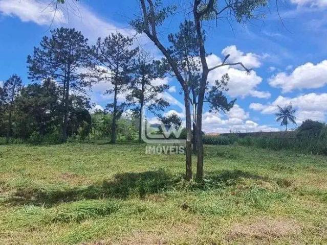 Terreno comercial para Venda em Rio dos Cedros/SC Cruzeiro 1 Quartos
