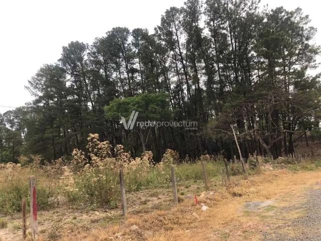 Terreno comercial para Venda em Sumaré/SP Chácara Monte Alegre