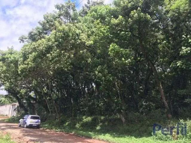 Terreno comercial para Venda em Suzano/SP Meu Cantinho