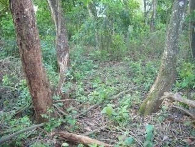 Terreno comercial para Venda em Suzano/SP Chácaras Reunidas Guaio