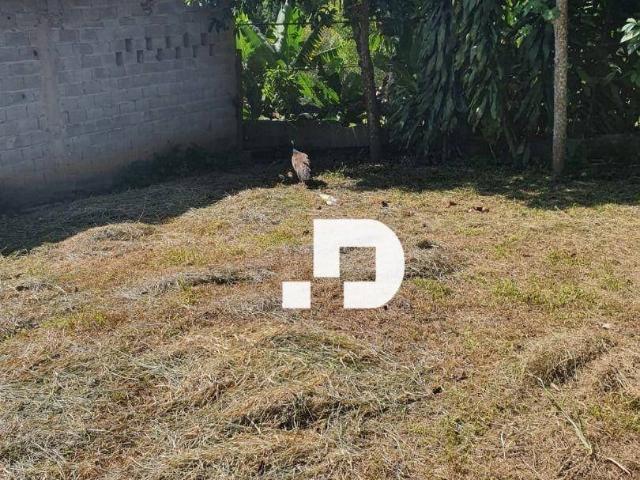 Terreno comercial para Venda em Suzano/SP Jardim Santa Inês