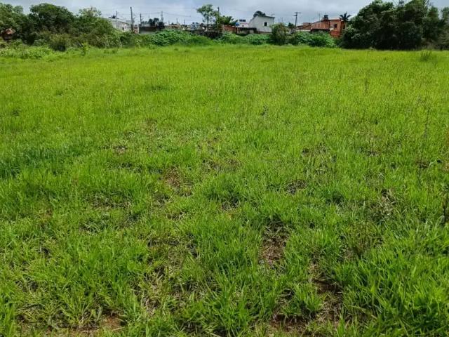 Terreno comercial para Venda em Suzano/SP Palmeiras de São Paulo