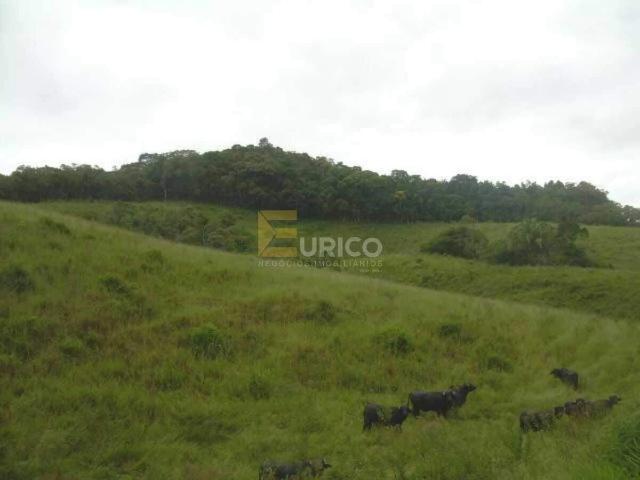 Terreno comercial para Venda em Suzano/SP Parque Santa Rosa