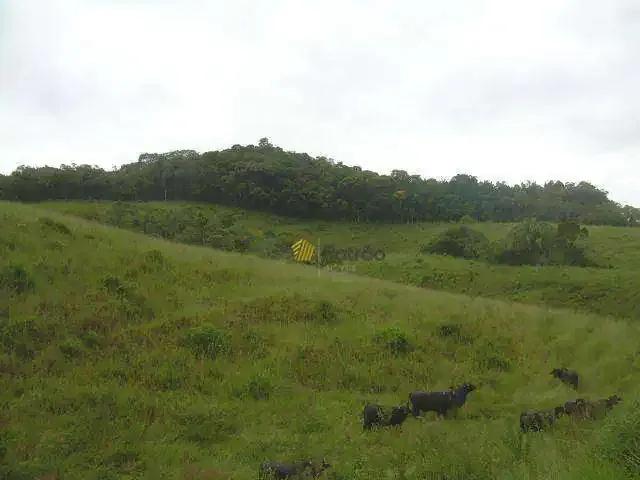 Terreno comercial para Venda em Suzano/SP Vila Aparecida