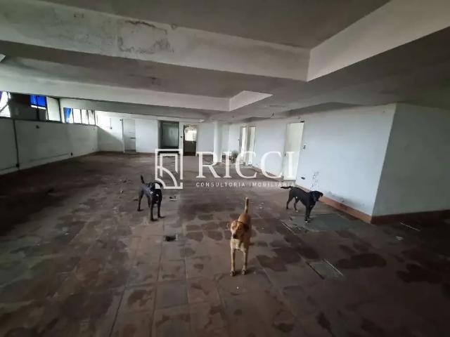 Terreno comercial para Venda em São Vicente/SP Parque São Vicente