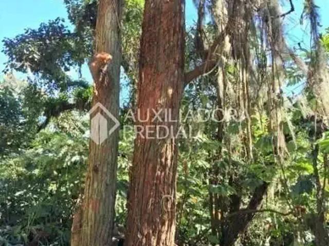 Terreno comercial para Venda em São Bernardo do Campo/SP Balneária