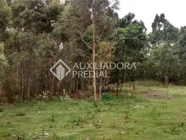 Terreno comercial para Venda em São Bernardo do Campo/SP Cooperativa