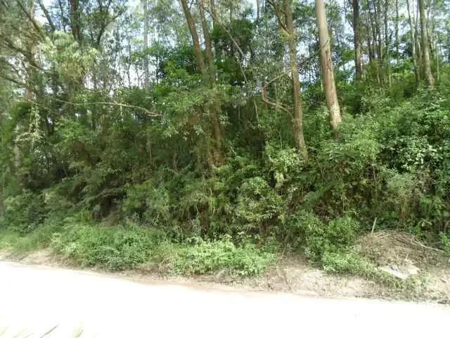Terreno comercial para Venda em São Bernardo do Campo/SP Parque Botujuru