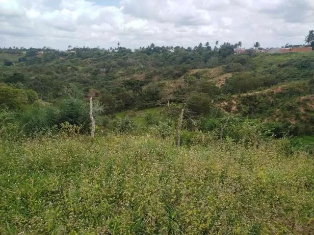 Terreno comercial para Venda em São Domingos/SE Centro