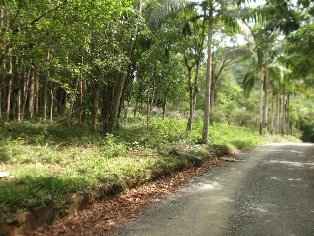Terreno comercial para Venda em São Francisco do Sul/SC Centro