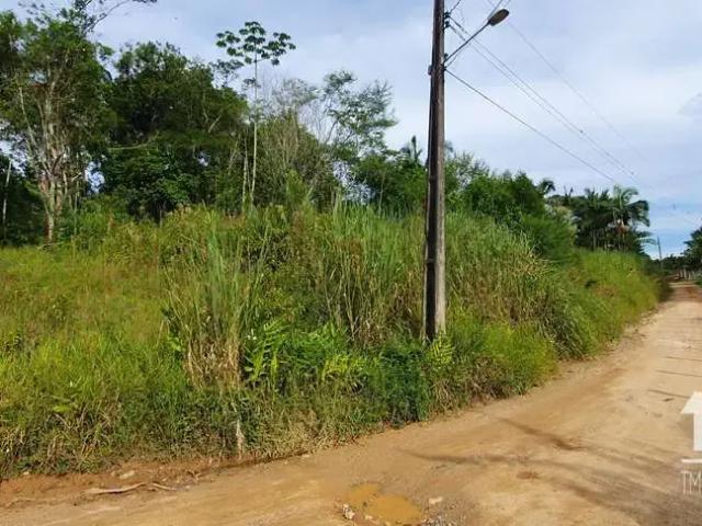 Terreno comercial para Venda em São Francisco do Sul/SC Morro da Palha