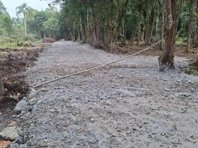 Terreno comercial para Venda em São Francisco do Sul/SC Praia do Ervino