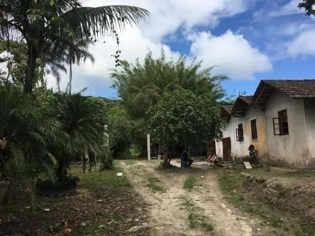 Terreno comercial para Venda em São Francisco do Sul/SC Rocio Grande