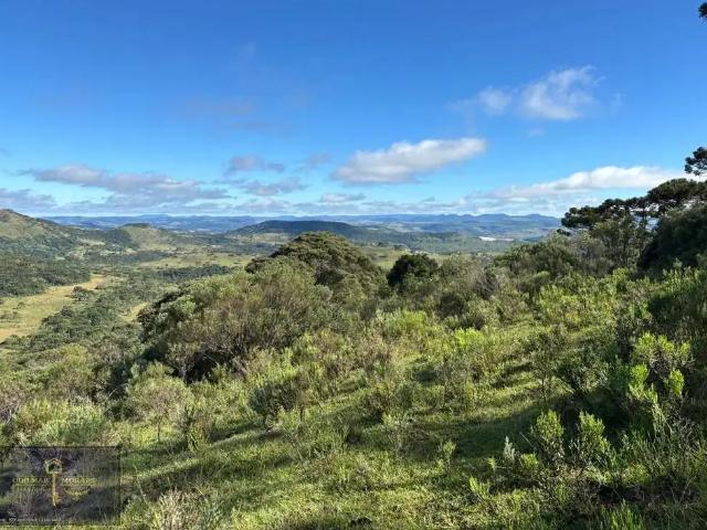 Terreno comercial para Venda em São Joaquim/SC Pericó