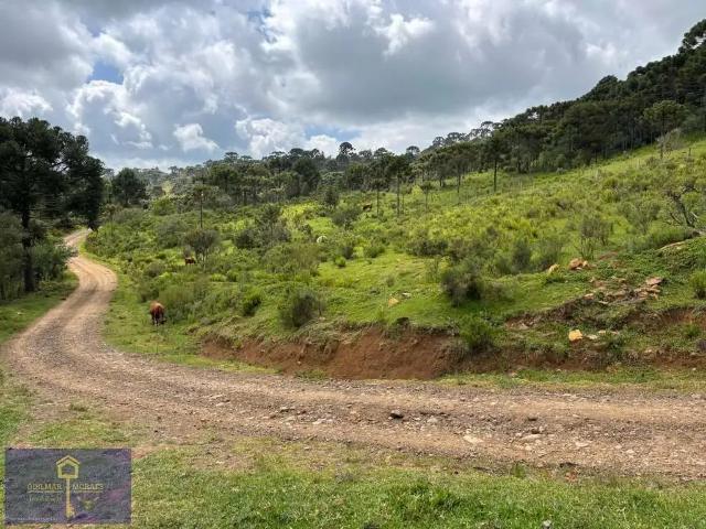 Terreno comercial para Venda em São Joaquim/SC Pericó