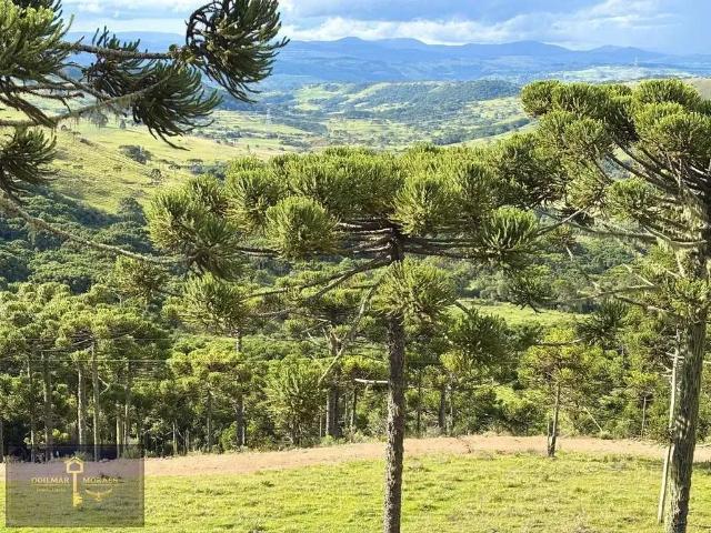 Terreno comercial para Venda em São Joaquim/SC Pericó