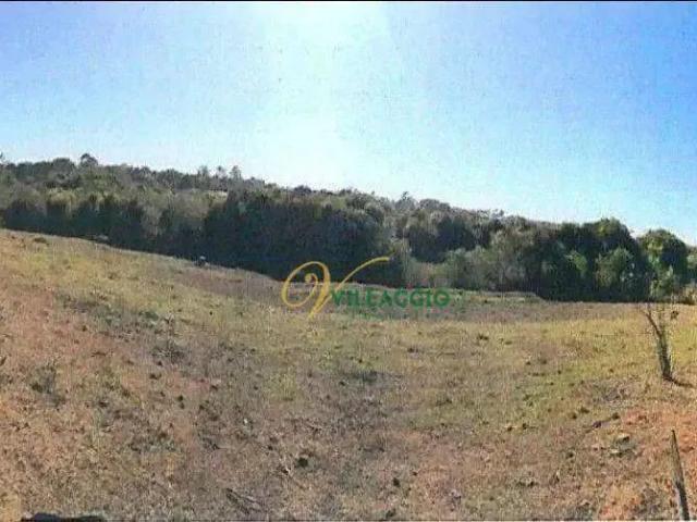 Terreno comercial para Venda em São José do Rio Preto/SP Vila Toninho