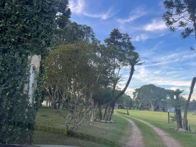 Terreno comercial para Venda em São José dos Pinhais/PR Colônia Murici