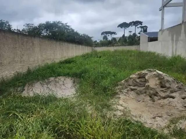 Terreno comercial para Venda em São José dos Pinhais/PR Colônia Murici