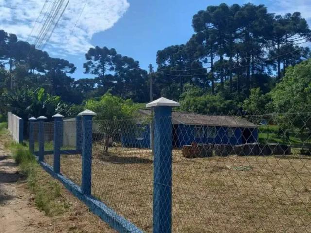 Terreno comercial para Venda em São José dos Pinhais/PR Colônia Murici 2 Quartos