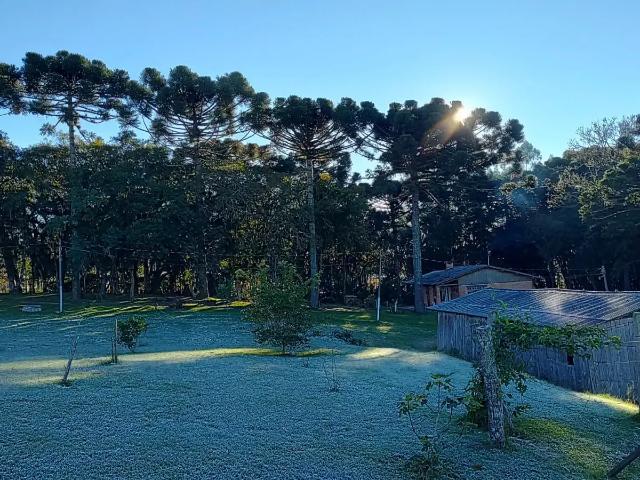 Terreno comercial para Venda em São José dos Pinhais/PR Contenda