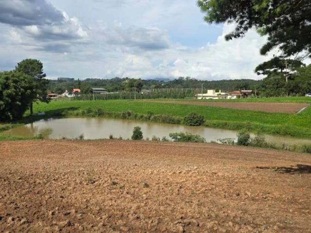 Terreno comercial para Venda em São José dos Pinhais/PR Colônia Murici