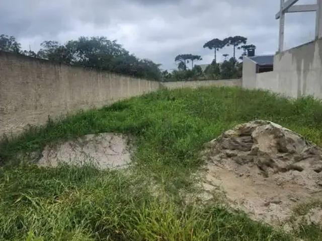 Terreno comercial para Venda em São José dos Pinhais/PR Colônia Murici